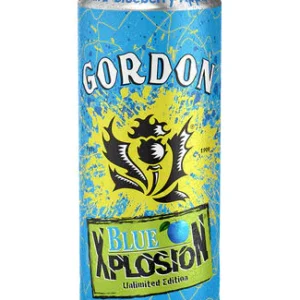 GORDON BLUEBERRY APPEL 12X50CL