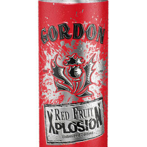 GORDON RED EXPLOSION 12X50CL